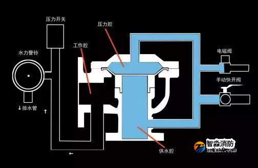 1644298949736459.jpg 5.jpg